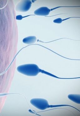 Sperm for low potency