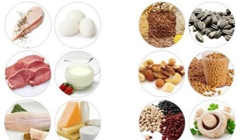 Products with a high content of animal and vegetable proteins for male potency